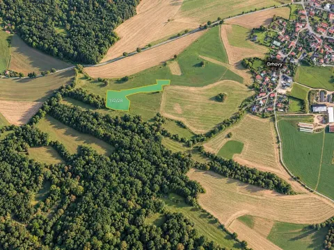 Prodej louky, Drhovy, 28277 m2