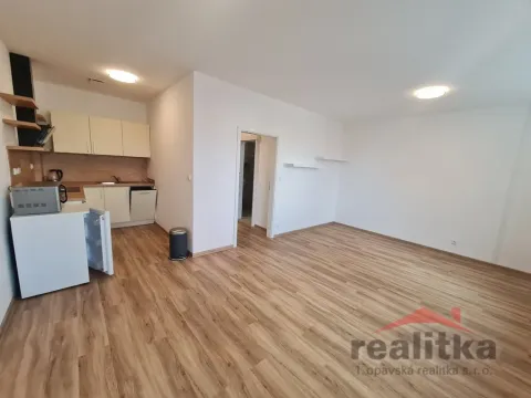 Pronájem bytu 1+kk, Opava - Předměstí, Provaznická, 35 m2