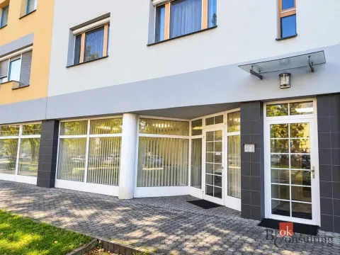 Pronájem obchodního prostoru, Rychnov nad Kněžnou, Javornická, 91 m2