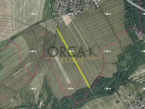 Prodej pole, Dolní Újezd, 4582 m2