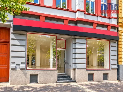 Pronájem obchodního prostoru, České Budějovice, Lannova tř., 212 m2